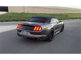 2015 Ford Mustang (CC-2113003) for sale in Cadillac, Michigan