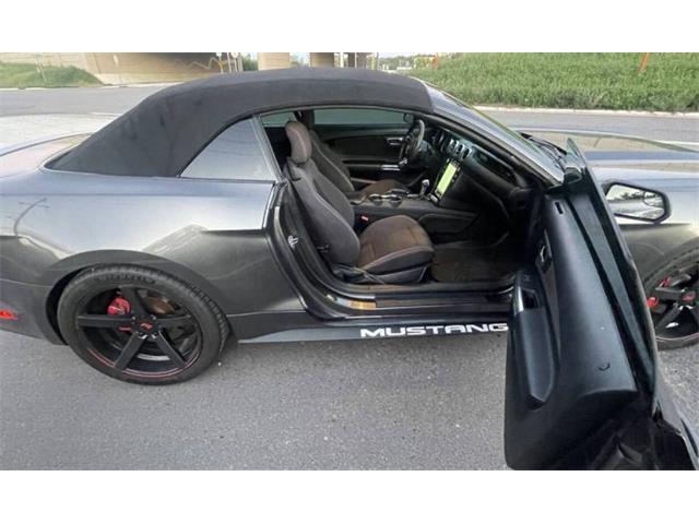 2015 Ford Mustang (CC-2113003) for sale in Cadillac, Michigan