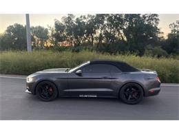 2015 Ford Mustang (CC-2113003) for sale in Cadillac, Michigan