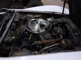 1981 Chevrolet Corvette (CC-2110303) for sale in Cadillac, Michigan