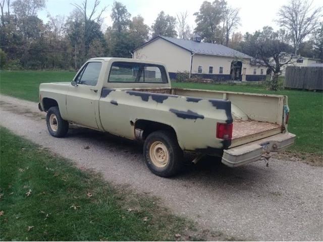 1974 Chevrolet 1500 (CC-2110305) for sale in Cadillac, Michigan