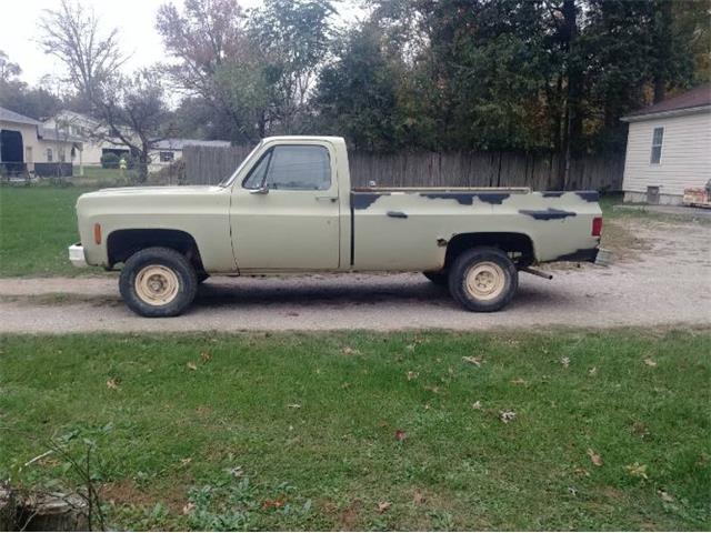 1974 Chevrolet 1500 (CC-2110305) for sale in Cadillac, Michigan