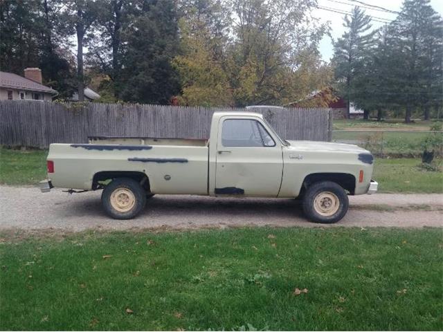1974 Chevrolet 1500 (CC-2110305) for sale in Cadillac, Michigan
