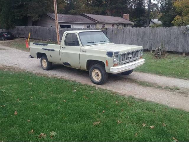 1974 Chevrolet 1500 (CC-2110305) for sale in Cadillac, Michigan