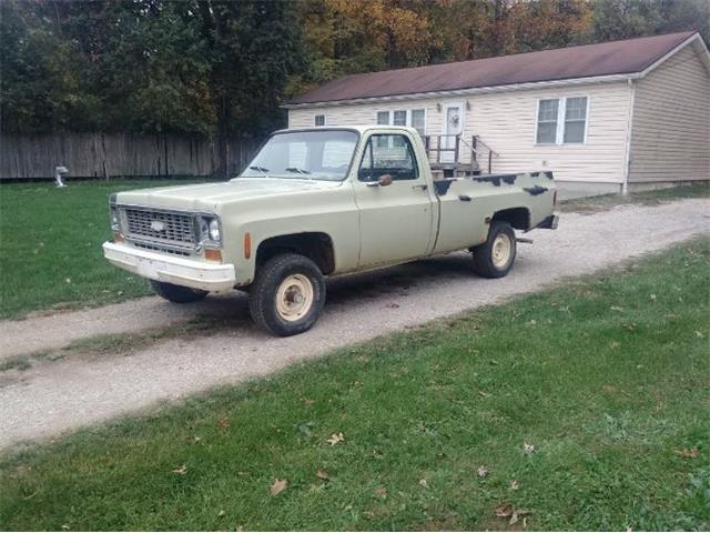1974 Chevrolet 1500 (CC-2110305) for sale in Cadillac, Michigan