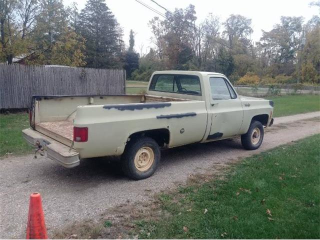 1974 Chevrolet 1500 (CC-2110305) for sale in Cadillac, Michigan
