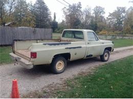 1974 Chevrolet 1500 (CC-2110305) for sale in Cadillac, Michigan