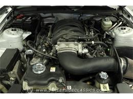 2005 Ford Mustang (CC-2113065) for sale in Lutz, Florida