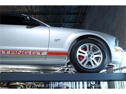2005 Ford Mustang (CC-2113065) for sale in Lutz, Florida