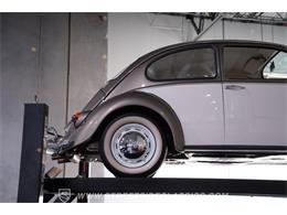 1966 Volkswagen Beetle (CC-2113066) for sale in Lithia Springs, Georgia