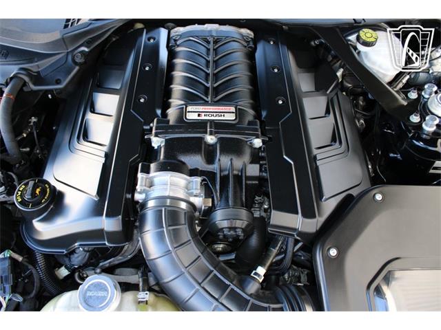 2021 Ford Mustang (CC-2113072) for sale in Houston, Texas