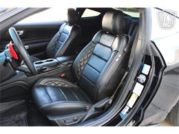 2021 Ford Mustang (CC-2113072) for sale in Houston, Texas