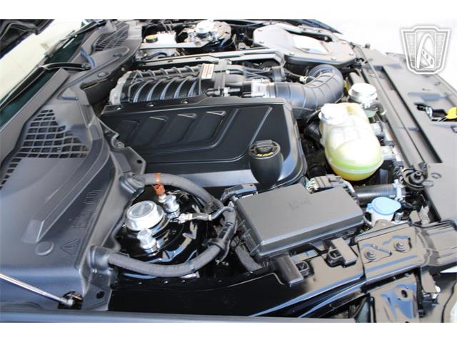 2021 Ford Mustang (CC-2113072) for sale in Houston, Texas