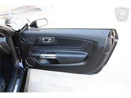 2021 Ford Mustang (CC-2113072) for sale in Houston, Texas
