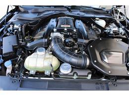 2021 Ford Mustang (CC-2113072) for sale in Houston, Texas