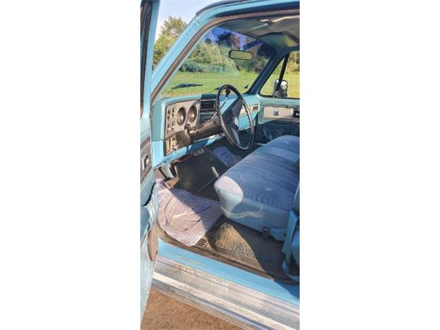 1978 Chevrolet Silverado (CC-2110309) for sale in Cadillac, Michigan