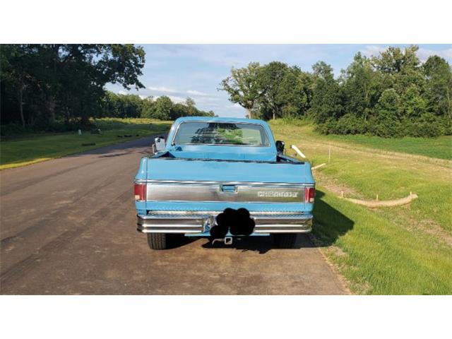 1978 Chevrolet Silverado (CC-2110309) for sale in Cadillac, Michigan