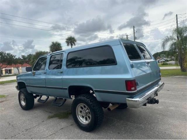 1989 Chevrolet Suburban (CC-2113107) for sale in Cadillac, Michigan