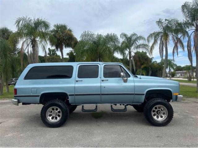 1989 Chevrolet Suburban (CC-2113107) for sale in Cadillac, Michigan