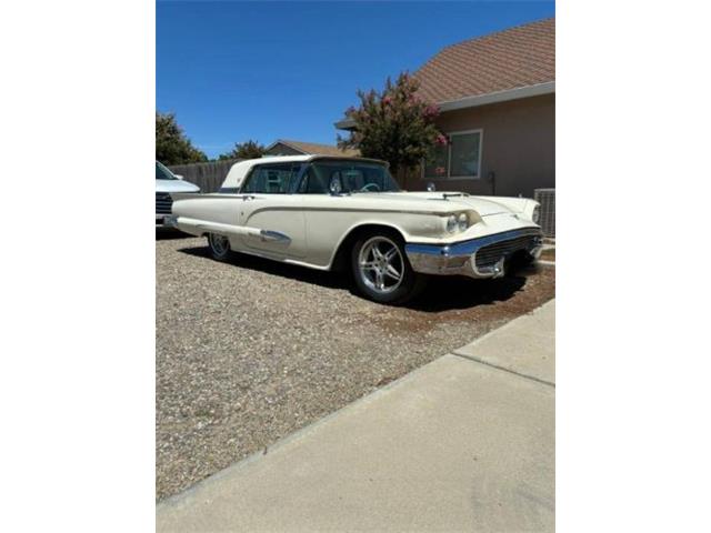 1959 Ford Thunderbird (CC-2113110) for sale in Cadillac, Michigan