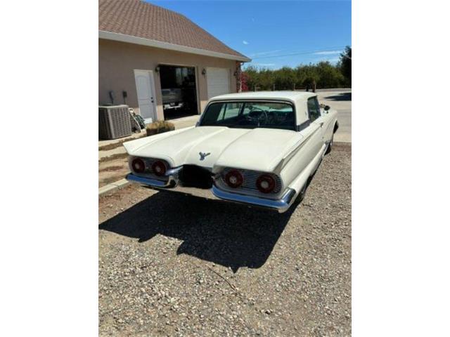 1959 Ford Thunderbird (CC-2113110) for sale in Cadillac, Michigan