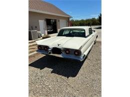 1959 Ford Thunderbird (CC-2113110) for sale in Cadillac, Michigan