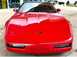 1994 Chevrolet Corvette (CC-2113134) for sale in Bradenton, Florida