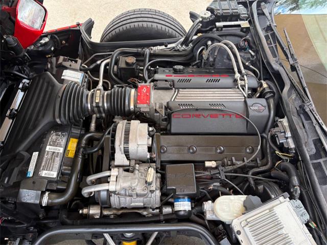 1994 Chevrolet Corvette (CC-2113134) for sale in Bradenton, Florida