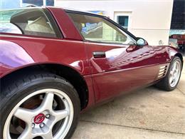 1993 Chevrolet Corvette (CC-2113141) for sale in Bradenton, Florida