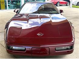 1993 Chevrolet Corvette (CC-2113141) for sale in Bradenton, Florida