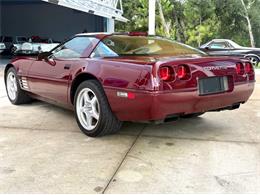 1993 Chevrolet Corvette (CC-2113141) for sale in Bradenton, Florida