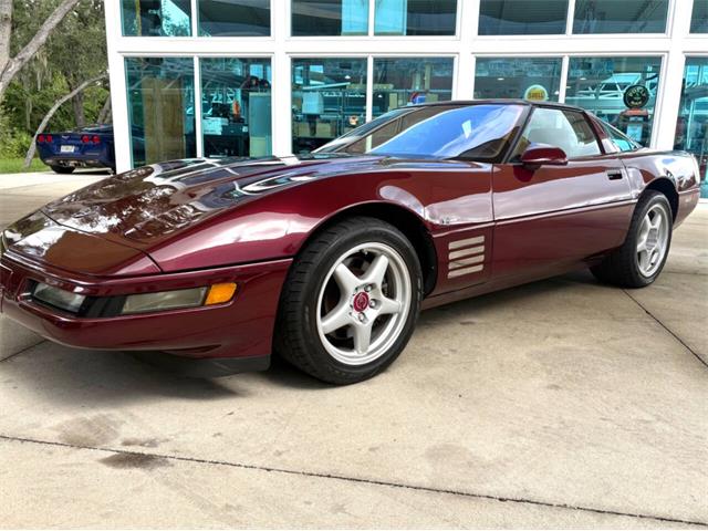 1993 Chevrolet Corvette (CC-2113141) for sale in Bradenton, Florida