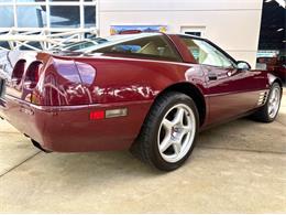 1993 Chevrolet Corvette (CC-2113141) for sale in Bradenton, Florida