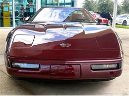 1993 Chevrolet Corvette (CC-2113141) for sale in Bradenton, Florida