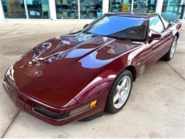 1993 Chevrolet Corvette (CC-2113141) for sale in Bradenton, Florida