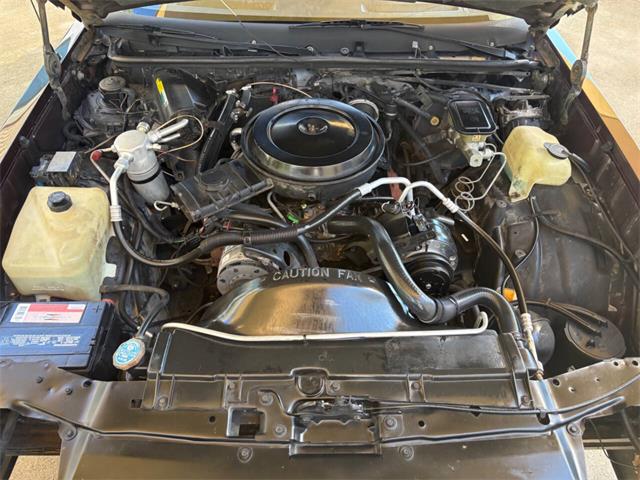 1986 Chevrolet Monte Carlo (CC-2113158) for sale in Bradenton, Florida
