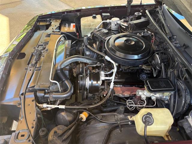 1986 Chevrolet Monte Carlo (CC-2113158) for sale in Bradenton, Florida