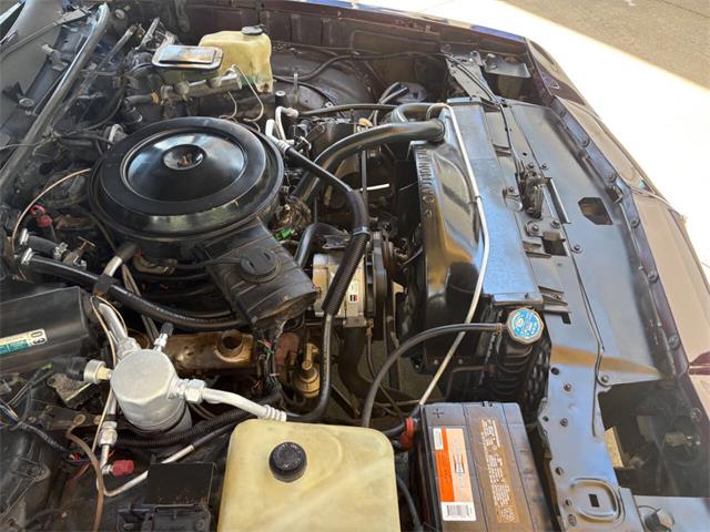 1986 Chevrolet Monte Carlo (CC-2113158) for sale in Bradenton, Florida