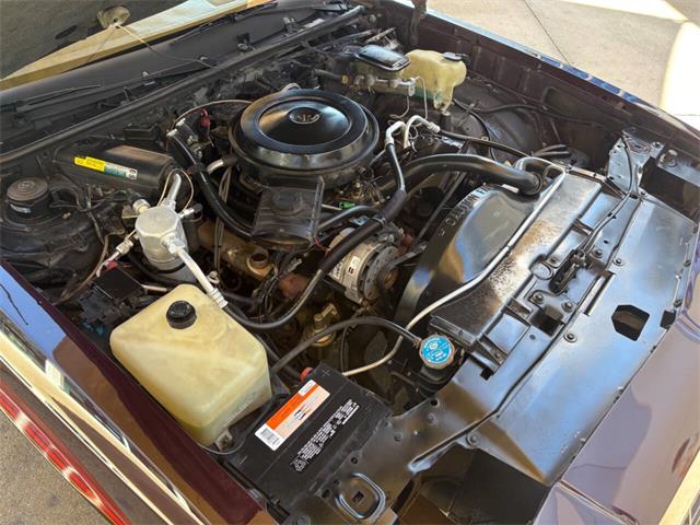 1986 Chevrolet Monte Carlo (CC-2113158) for sale in Bradenton, Florida