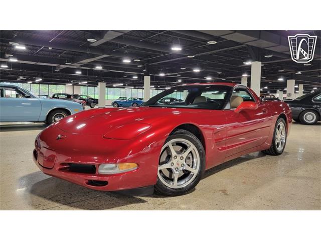 1999 Chevrolet Corvette (CC-2113176) for sale in Dearborn, Michigan