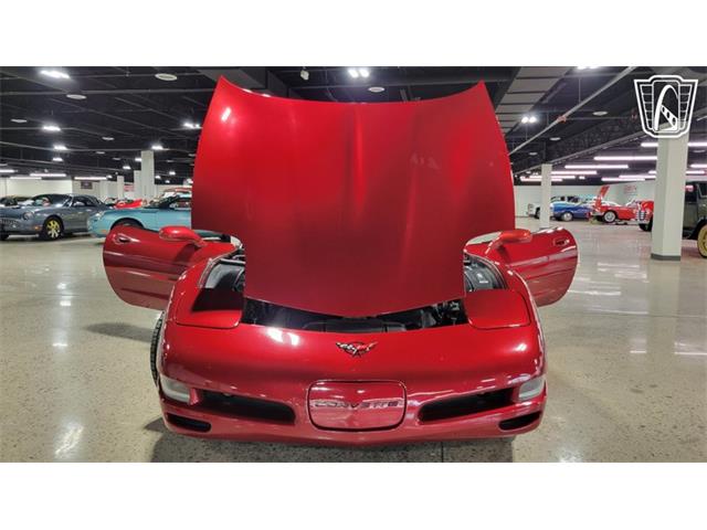 1999 Chevrolet Corvette (CC-2113176) for sale in Dearborn, Michigan