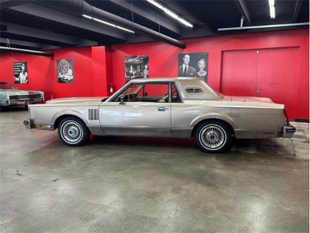 1980 Lincoln Continental (CC-2113178) for sale in Cadillac, Michigan