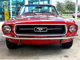 1967 Ford Mustang (CC-2113198) for sale in Bradenton, Florida
