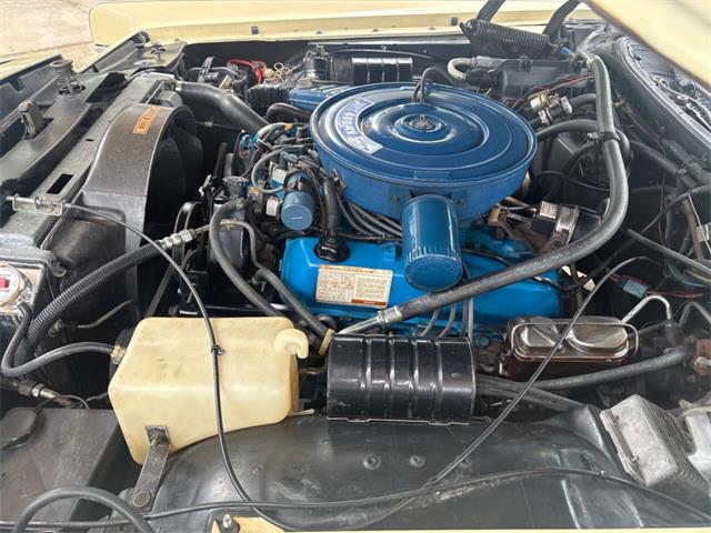 1977 Lincoln Continental (CC-2113208) for sale in Bradenton, Florida