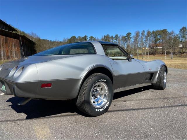 1978 Chevrolet Corvette (CC-2110323) for sale in Cadillac, Michigan
