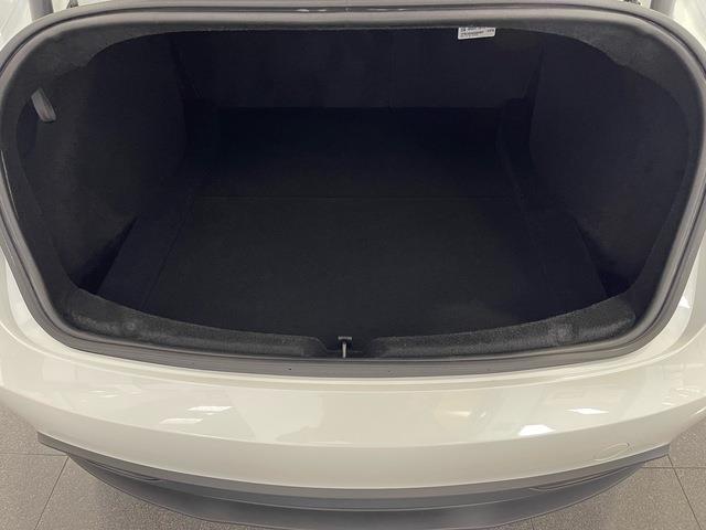 2025 Tesla Model 3 (CC-2113246) for sale in Jacksonville, Florida