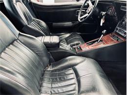 1980 Chevrolet Corvette (CC-2113306) for sale in Largo, Florida