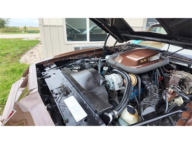1979 Pontiac Firebird Trans Am (CC-2113321) for sale in Sioux Falls, South Dakota