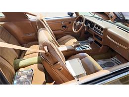 1979 Pontiac Firebird Trans Am (CC-2113321) for sale in Sioux Falls, South Dakota
