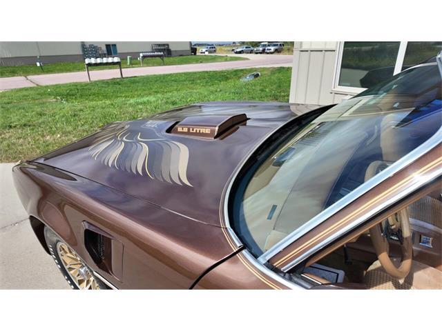 1979 Pontiac Firebird Trans Am (CC-2113321) for sale in Sioux Falls, South Dakota